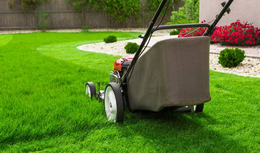 Lawn Care